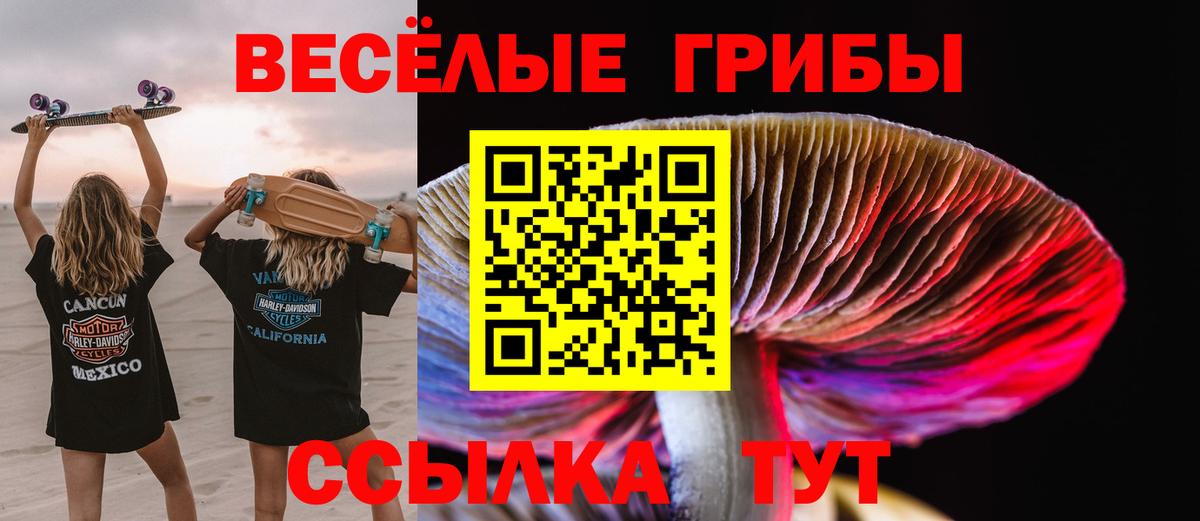 Туймазы  Псилоцибиновые грибы MAGIC MUSHROOMS  Вход с VPN 